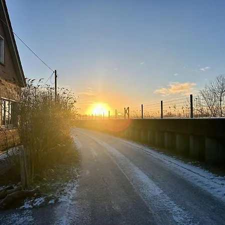Deichhasenhof Comfortable Vakantiehuis Nortmoor